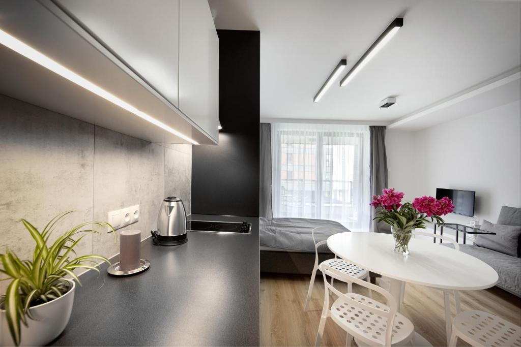 SilverApartments room 5